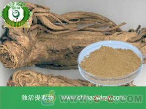 南箭牌植物提取物 獨活提取物遠(yuǎn)成銷售