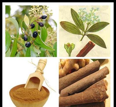 肉桂提取物,肉桂多酚,新品上市,優(yōu)質(zhì)產(chǎn)品